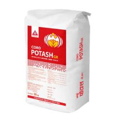 CORO POTASH GR