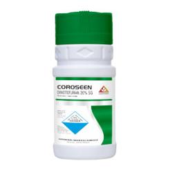 COROSEEN