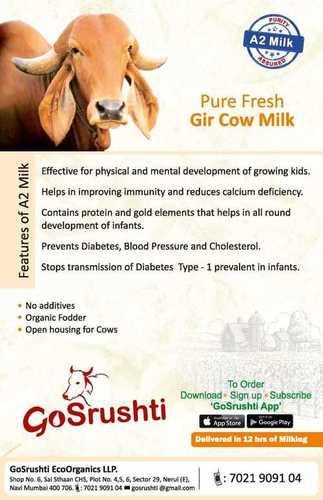 Gir cows A2 Milk
