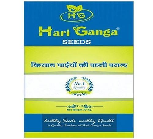 Hari Ganga Agriculture Grain Seeds