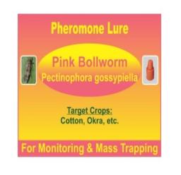 Pectinophora gossypiella Pheromone Lure - Pink Bollworm