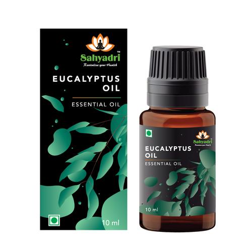 Eucalyptus Aroma Oil 