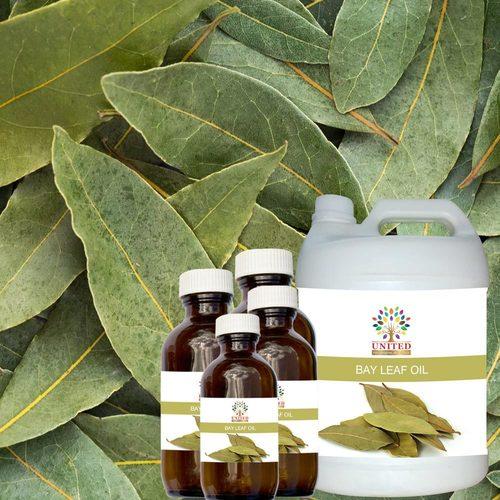 Bay Leaf Oil