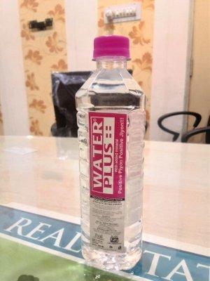 500 ML Bottle Water Plus