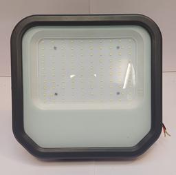 100Watt Star Model Flood Light