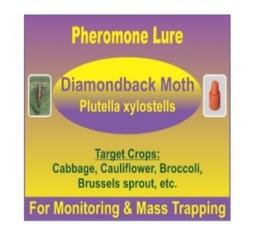 Plutella xylostella Pheromone Lure - Diamond Back Moth