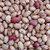 Dry Edible Beans
