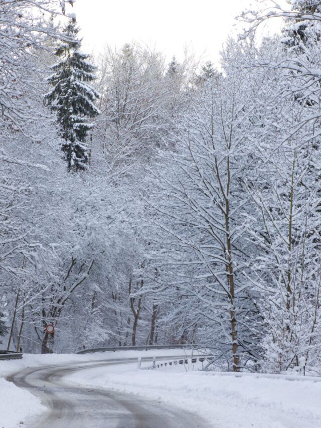 Discover the Top 7 Coldest Places in India