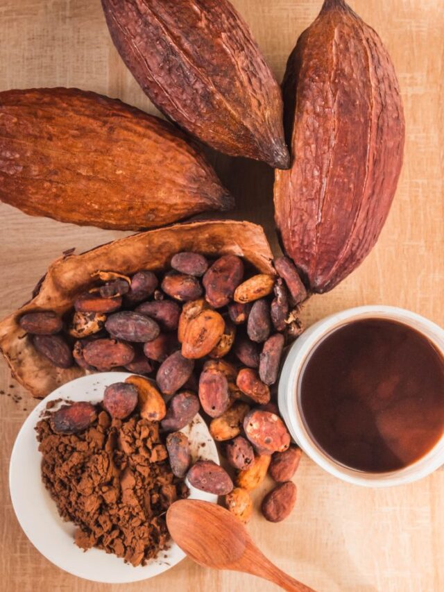 6 Delectable Ways to Enjoy Cocoa Powder